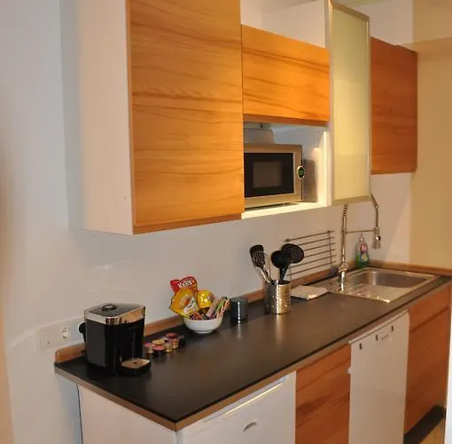 Zentrum 公寓 格拉茨